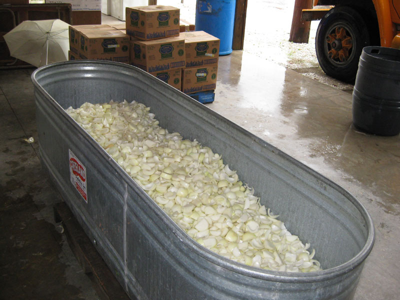 A tank full of fresh onions, peeled and quartered.