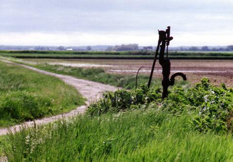 Field road and an old pump after a spring rain