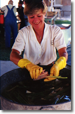 Marci Burrus cleans celery
