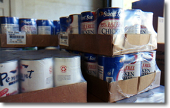 Canned chicken and broth
